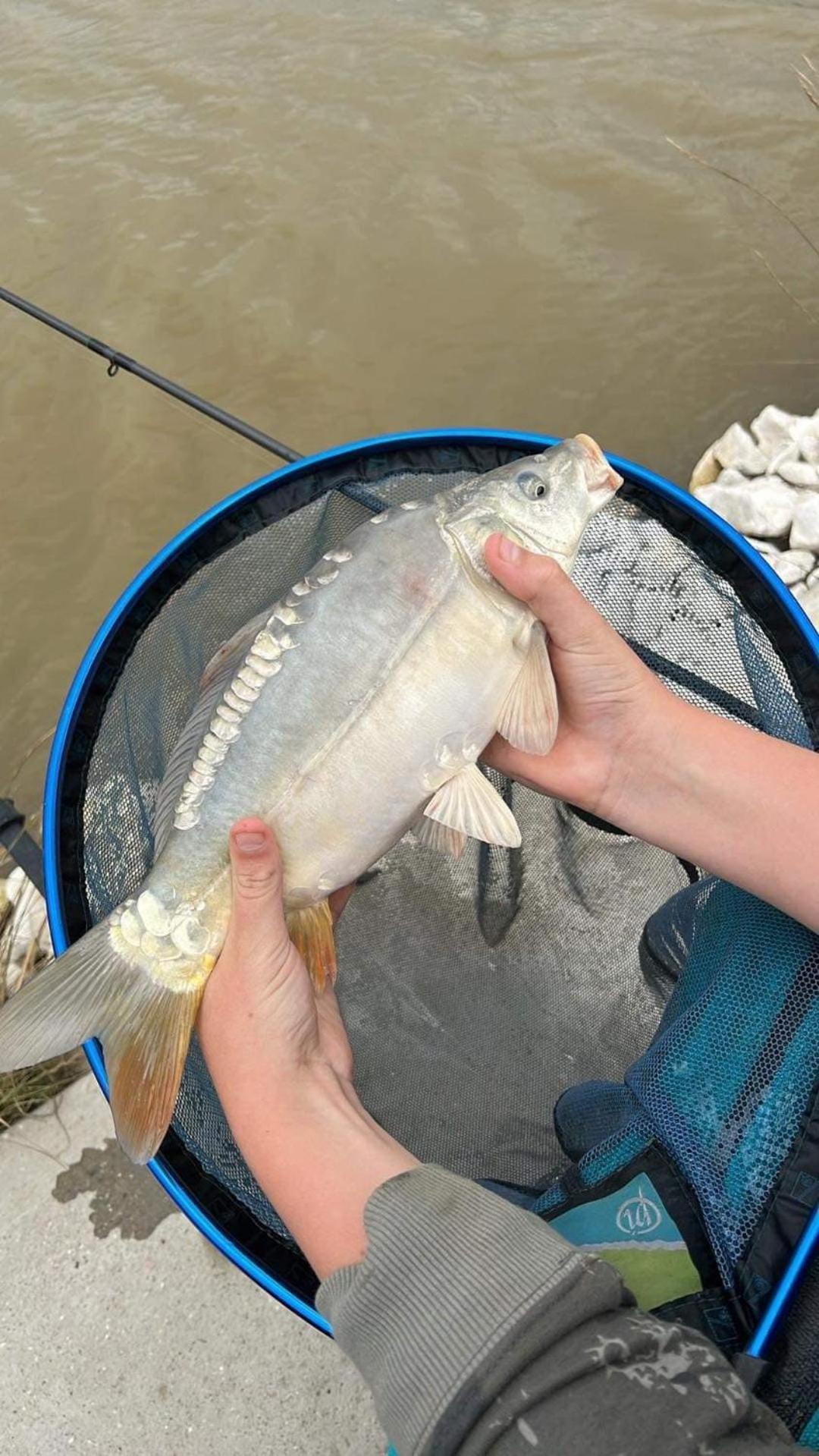 Lakeside Fishing Retreats บอสตัน ห้อง รูปภาพ