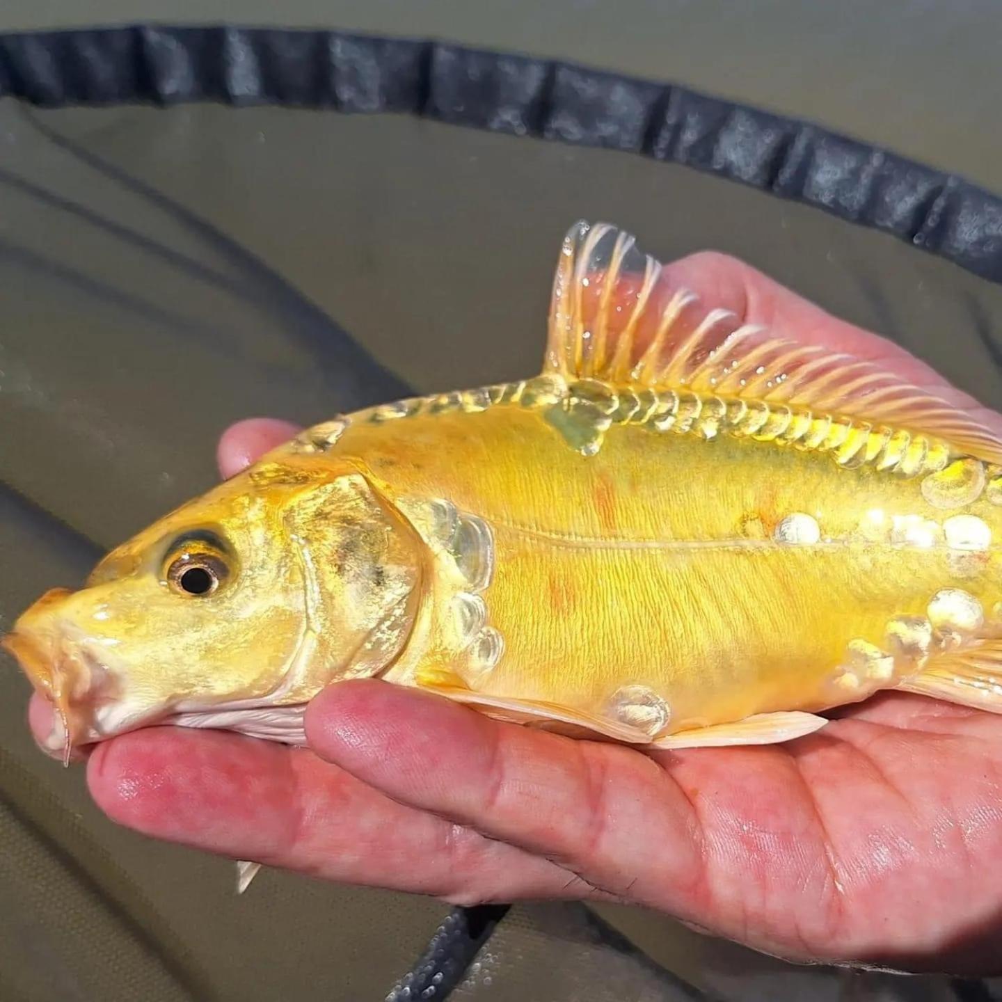 Lakeside Fishing Retreats บอสตัน ห้อง รูปภาพ
