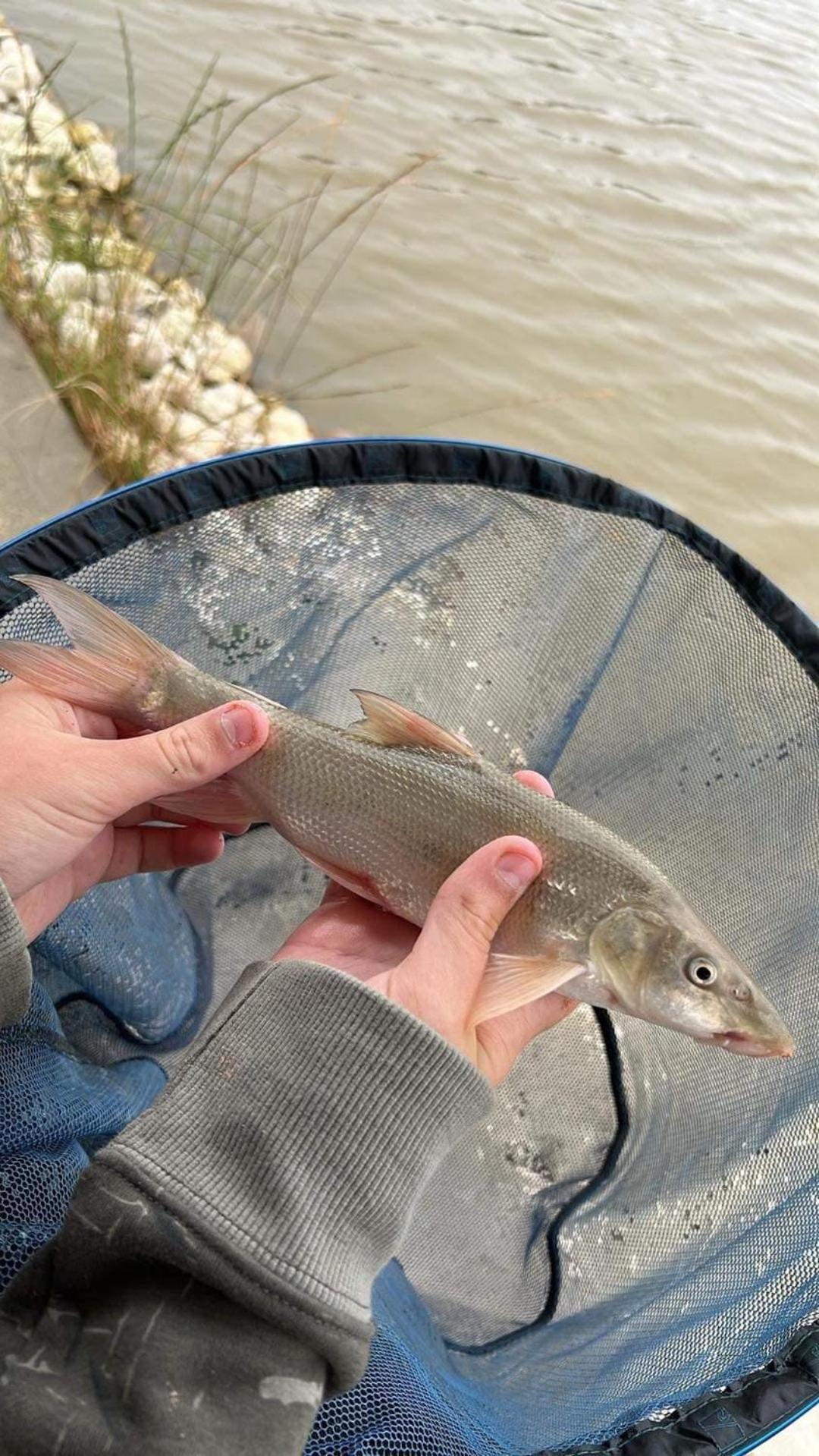 Lakeside Fishing Retreats บอสตัน ห้อง รูปภาพ
