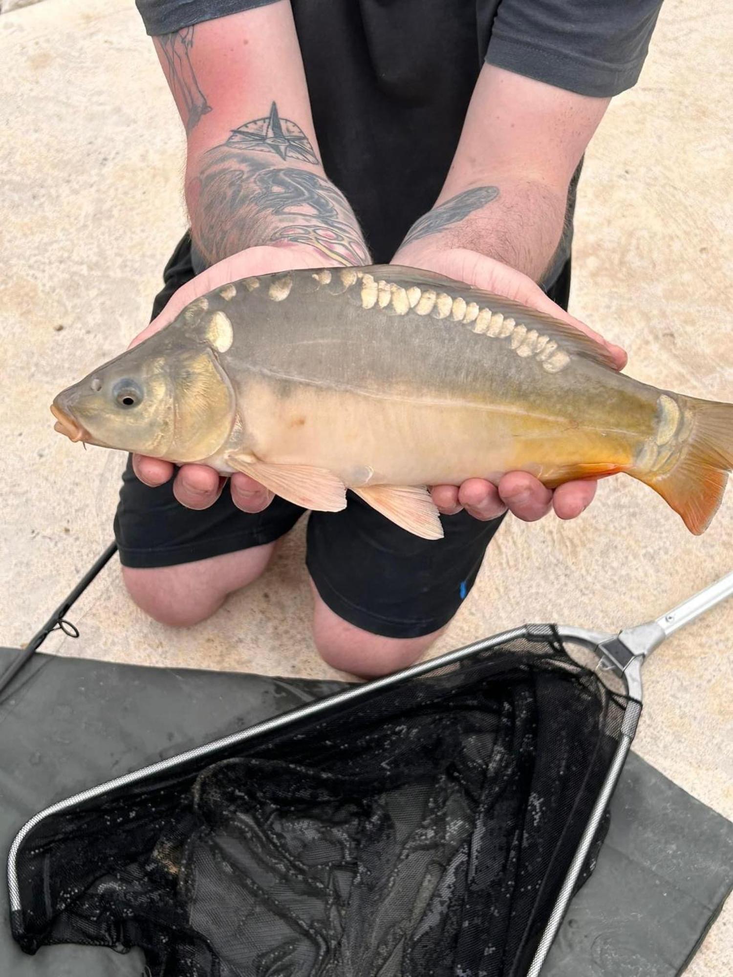 Lakeside Fishing Retreats บอสตัน ห้อง รูปภาพ