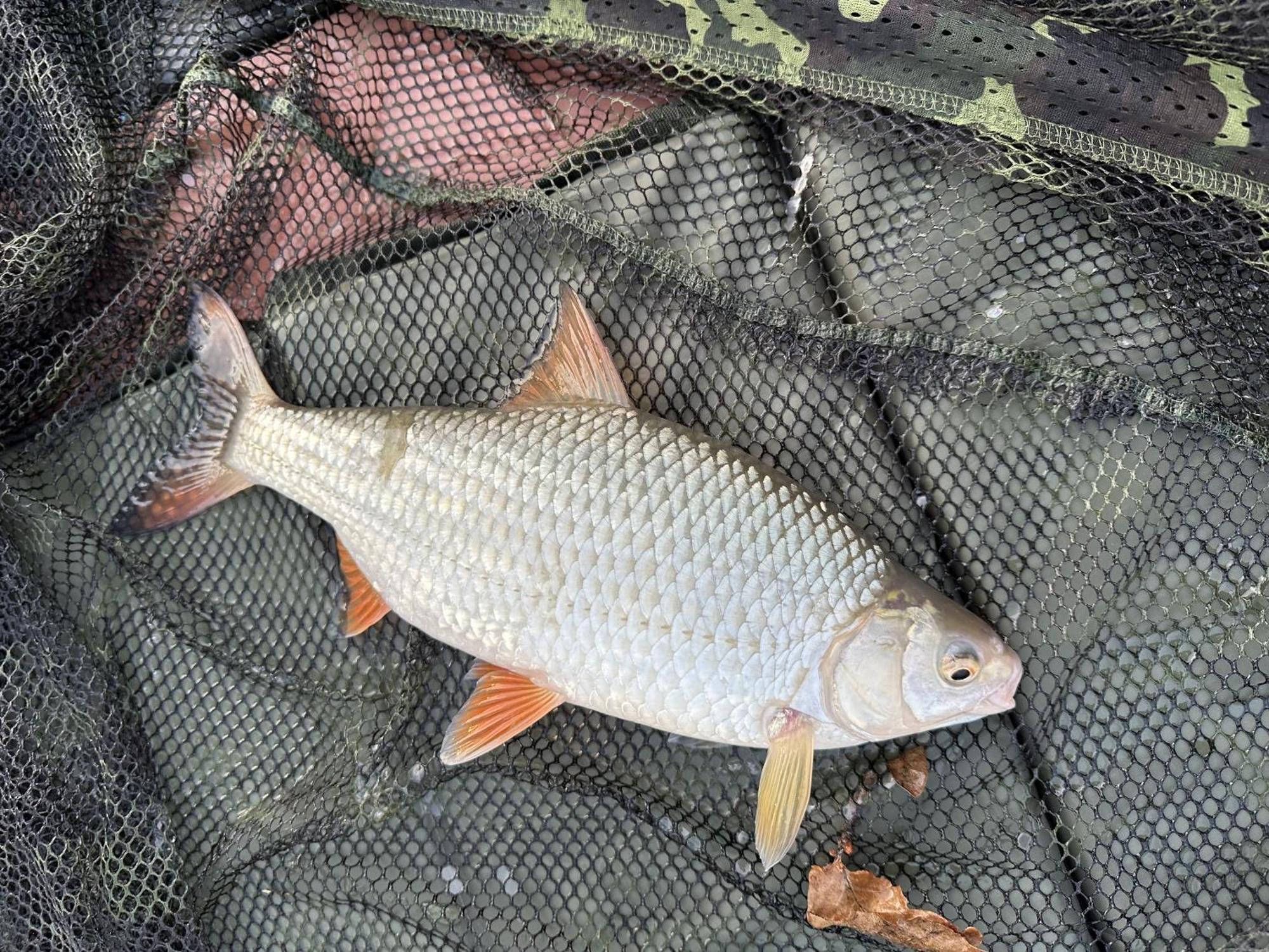 Lakeside Fishing Retreats บอสตัน ห้อง รูปภาพ